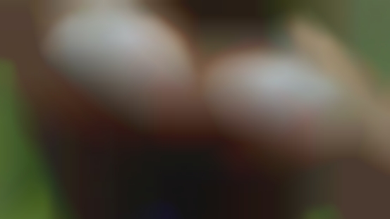 Is blk and wht looking girls female fetishs from Alpena?